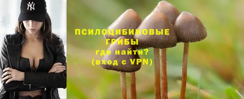 купить закладку  OMG как войти  Галлюциногенные грибы GOLDEN TEACHER  Апшеронск 